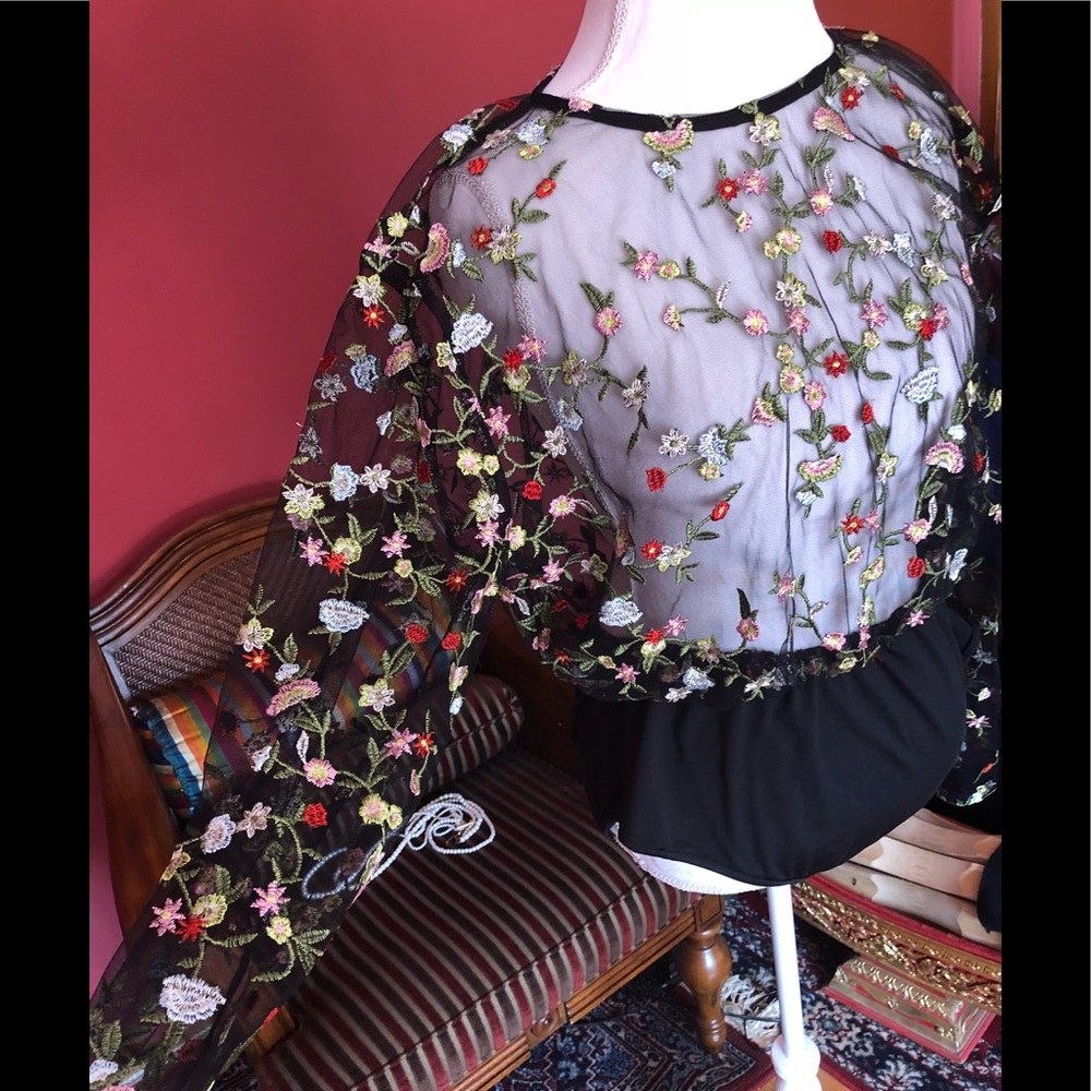 Boohoo Plus Sheer Floral Embroidered Bodysuit